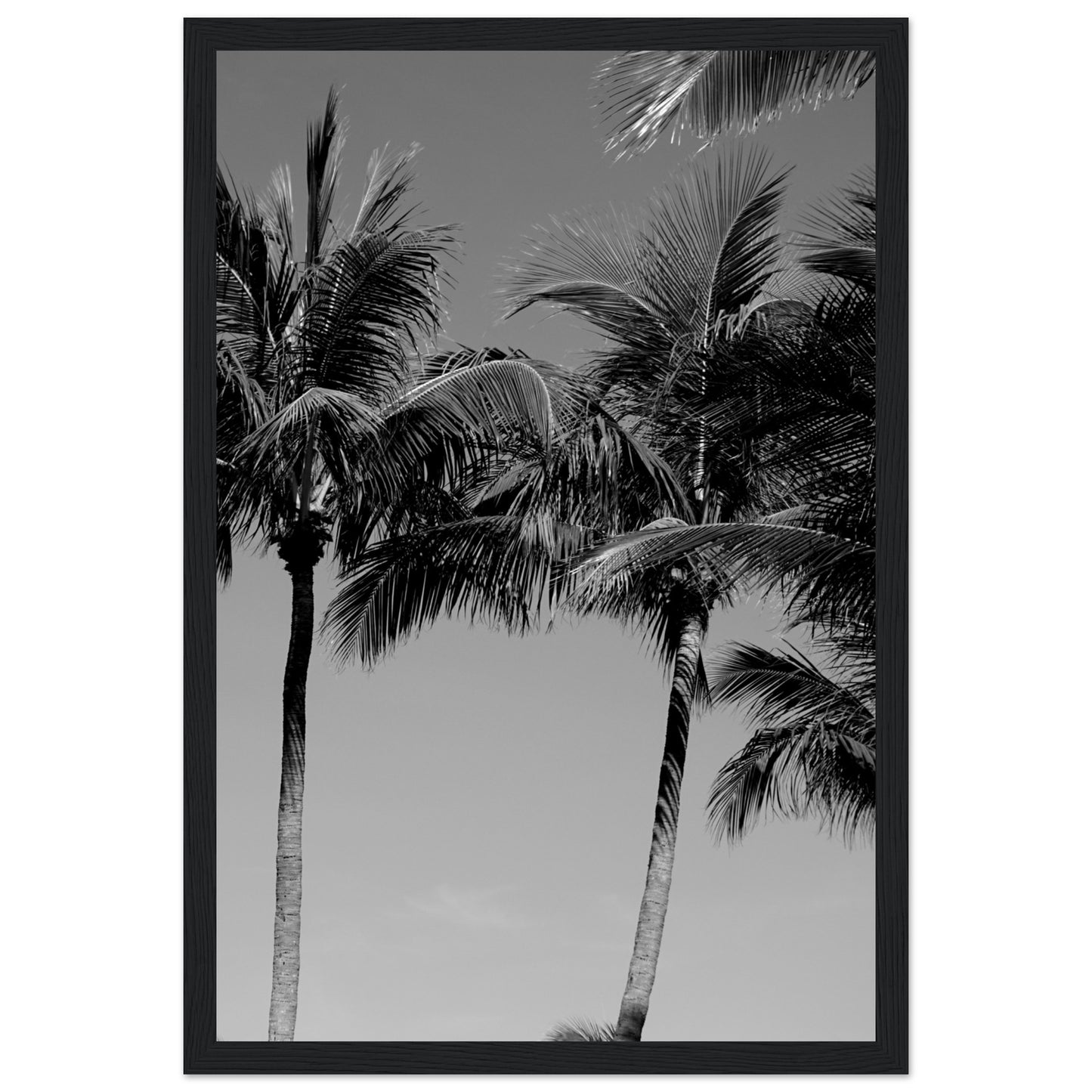 Premium Matte Paper Wooden Framed Poster