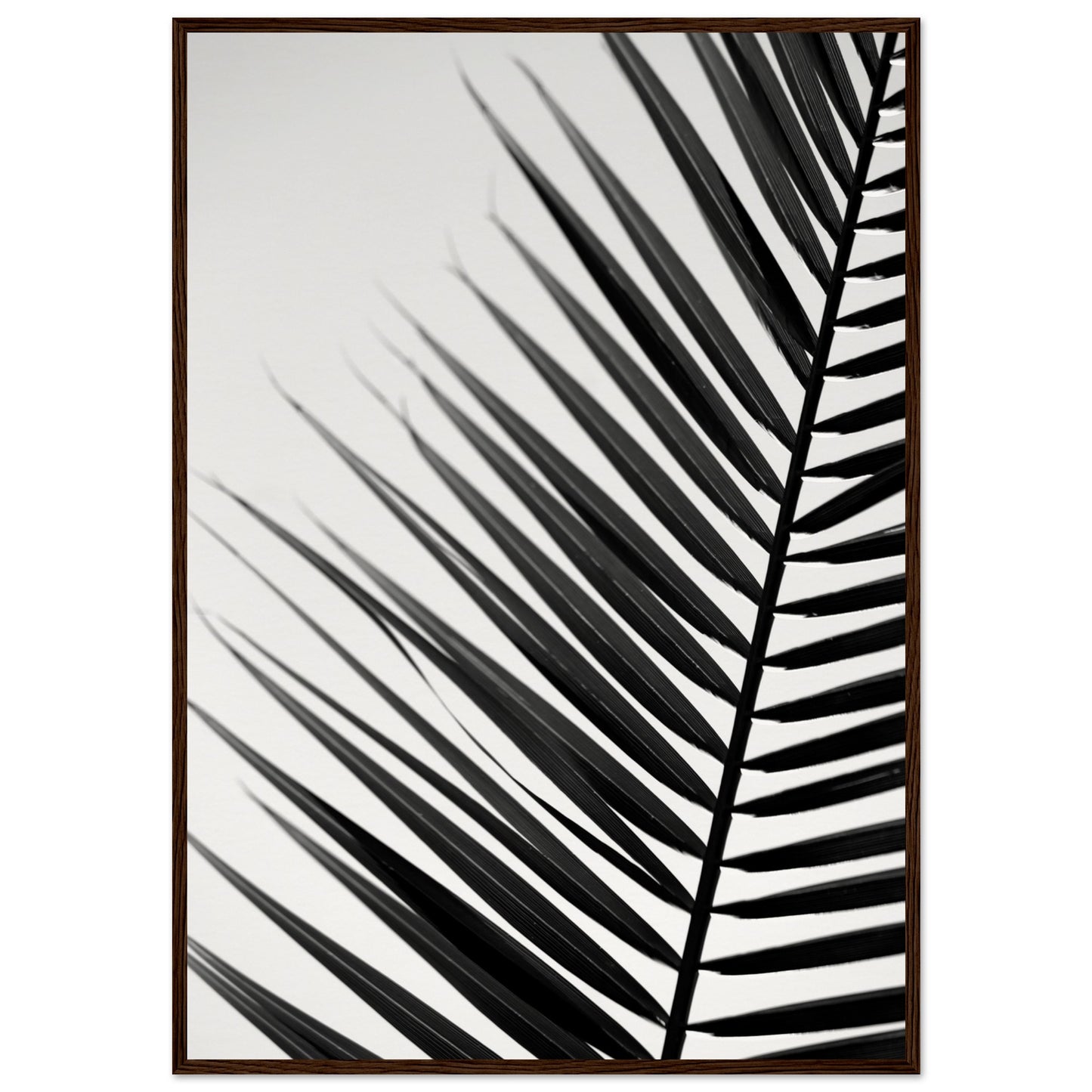 Museum-Quality Matte Paper Wooden Framed Poster