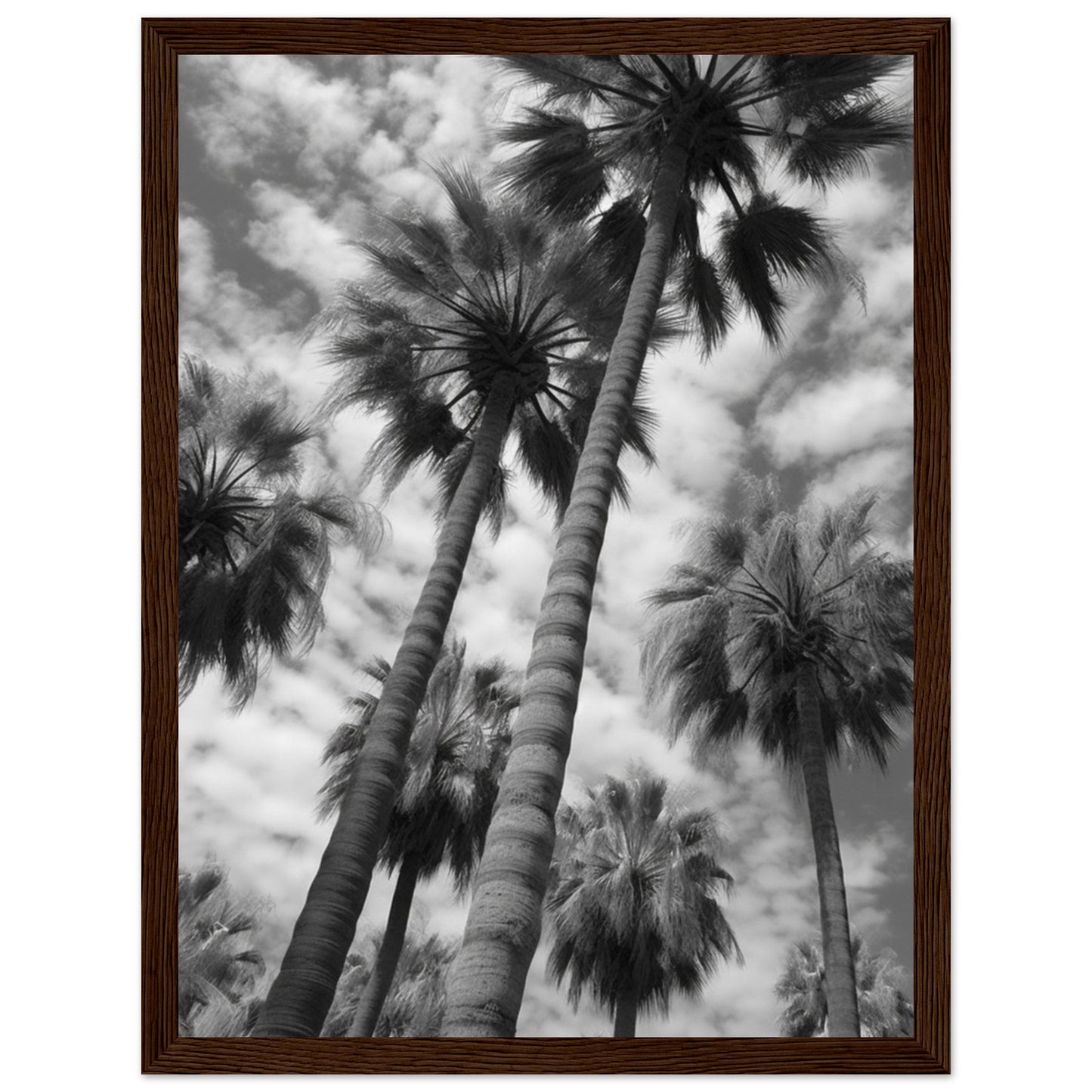 Premium Matte Paper Wooden Framed Poster